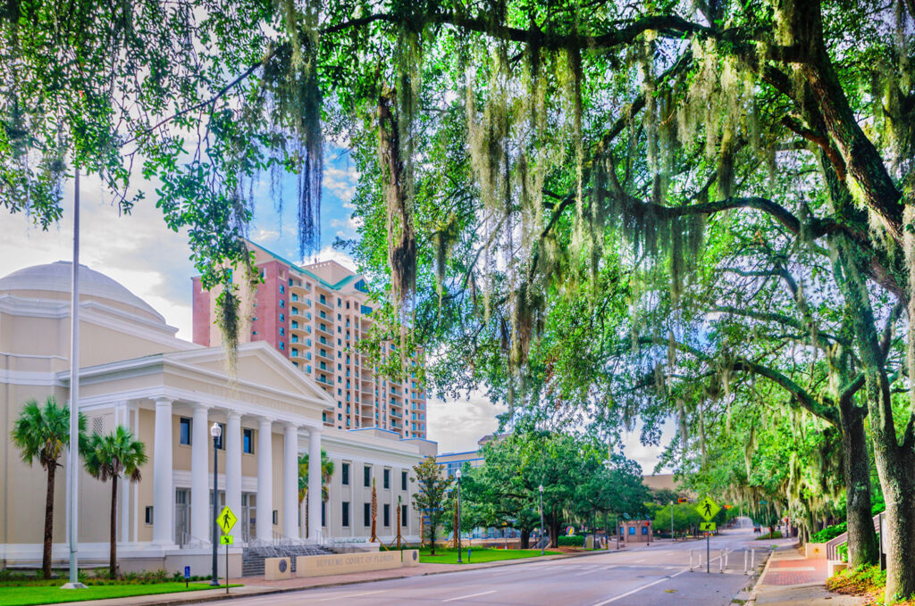 An overview of domestic violence under Florida Statute 741.28, including offense types, court procedures, injunction hearings, and possible penalties in Indian River County.